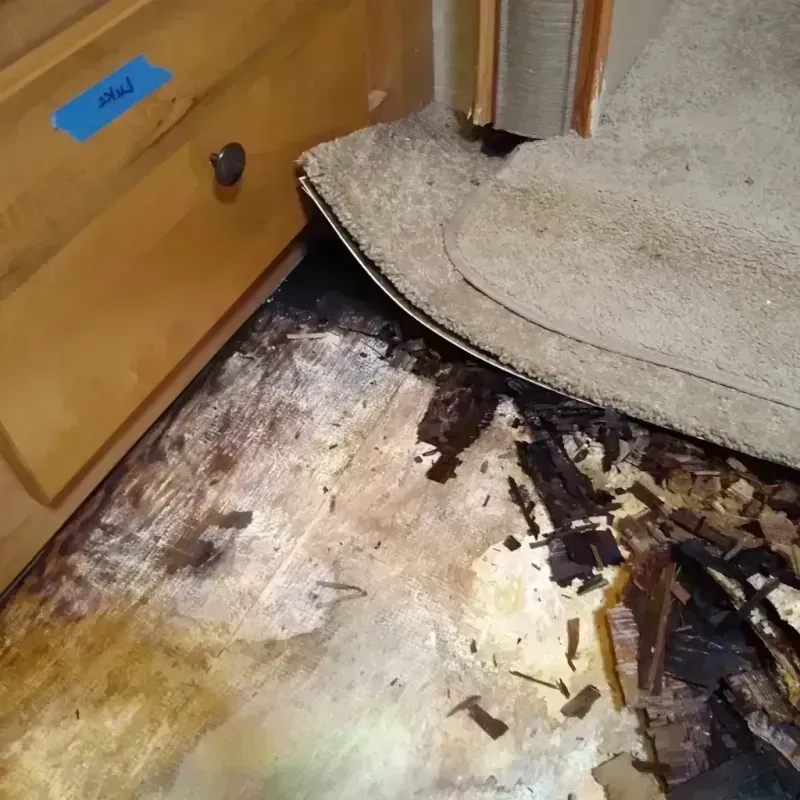 Wood Floor Water Damage in Mason County, MI